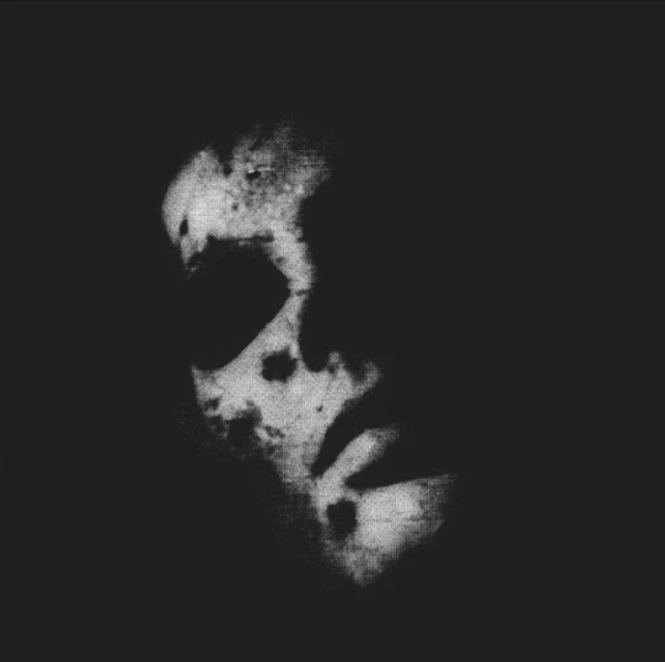 In Solitude "Sister" CD